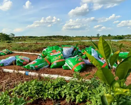 YUXING Conducts Follow-Up Visit to Powder Fertilizer Production Line Customer and Evaluates Farm Field Trial Results